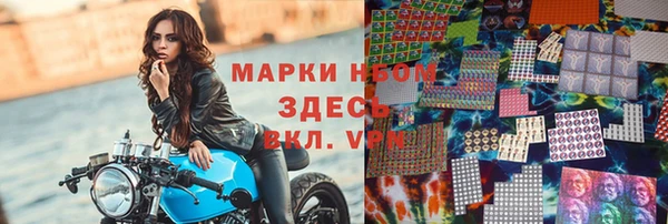 PSILOCYBIN Дмитриев